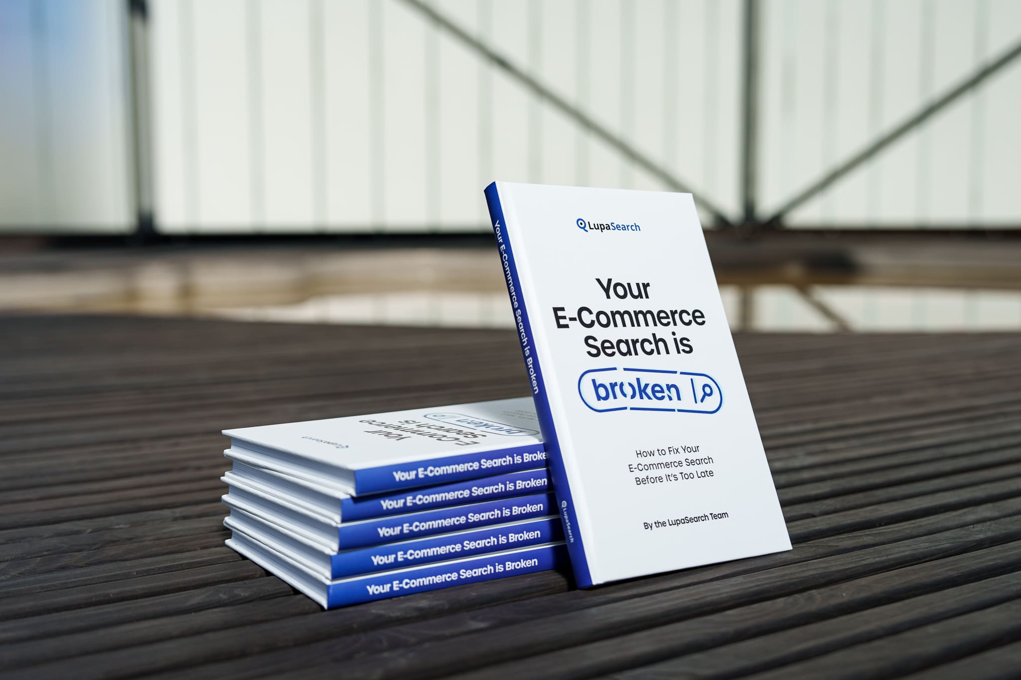 Printed copies of the LupaSearch ecommerce search optimization book